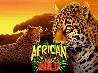 African Wild.webp